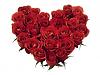 اضغط على الصورة لعرض أكبر. 

الإسم:	Red Roses Heart-839609.jpg 
مشاهدات:	620 
الحجم:	16.7 كيلوبايت 
الهوية:	173