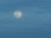 اضغط على الصورة لعرض أكبر. 

الإسم:	DSCF7082.jpg 
مشاهدات:	668 
الحجم:	79.1 كيلوبايت 
الهوية:	5314