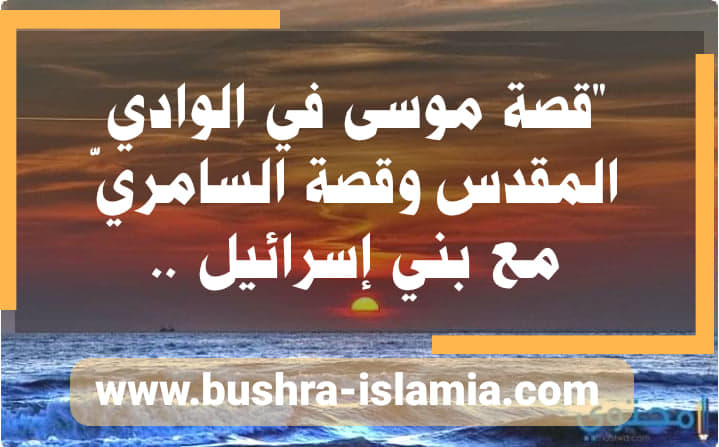 الاســـم:	95573270_2721235224669941_2238681609173729280_n.jpg
المشاهدات: 779
الحجـــم:	56.5 كيلوبايت
