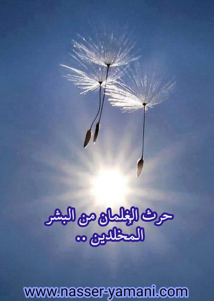 الاســـم:	92472949_4167249976622222_4208265027418849280_n.jpg
المشاهدات: 770
الحجـــم:	74.2 كيلوبايت