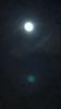 اضغط على الصورة لعرض أكبر. 

الإسم:	IMG-20210425-WA0013.jpg 
مشاهدات:	453 
الحجم:	77.1 كيلوبايت 
الهوية:	6907